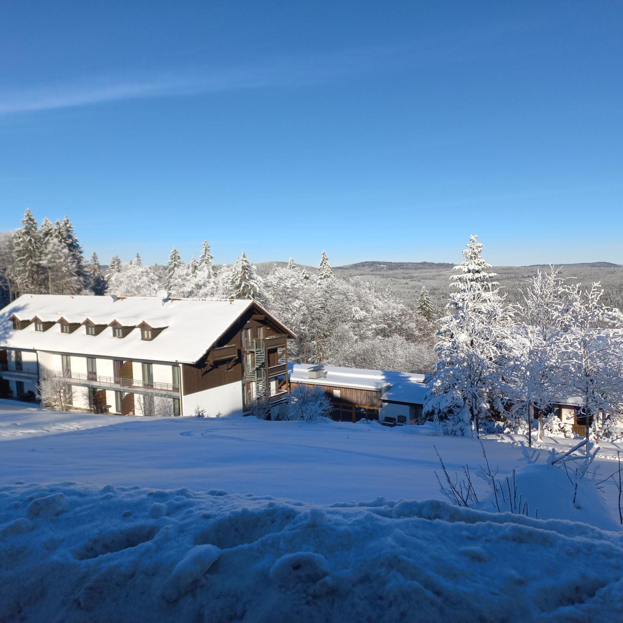 Apartement 270 Mitterdorf Mitterfirmiansreut Buitenkant foto